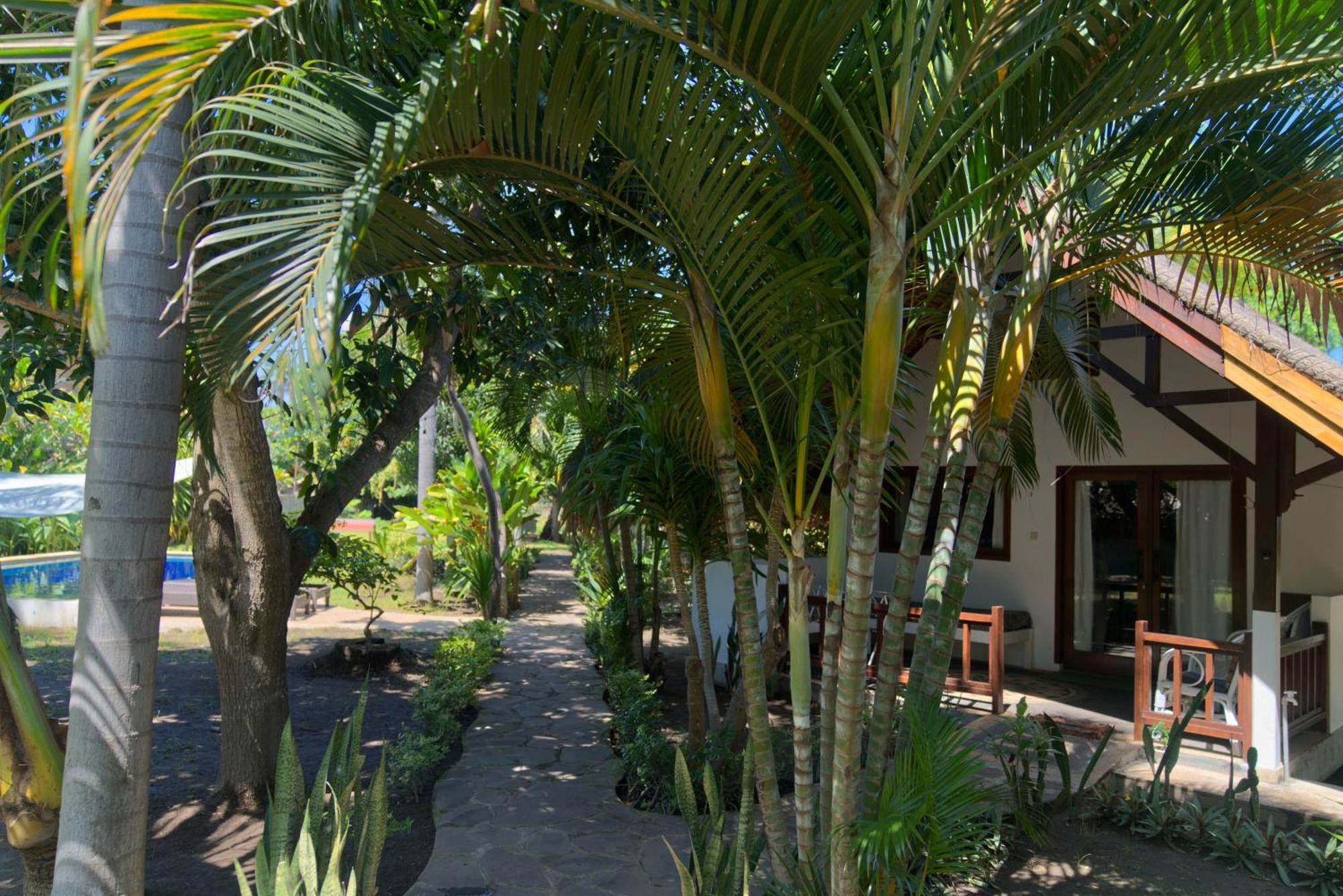 Begadang Hotell Gili Air Rom bilde